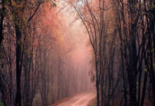 MK体育：[棋牌]乐弈场第42场周赛 龚景荣斩获实力积分双榜冠军.