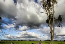 澳波：我们不能任由这个赛季的联赛就这么稀里糊涂地过去.