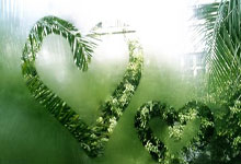 MK体育：联邦调查局警告NBA：跨国盗窃团伙盯上球员及富豪.