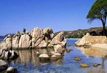 MK体育:中超-武磊两传两射 上海海港主场战胜北京国安.